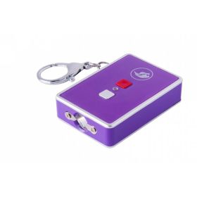 Mini Stunner Keychain Stun Gun (Color: Purple)